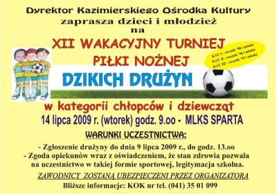 turniej_dzikich_druzyn