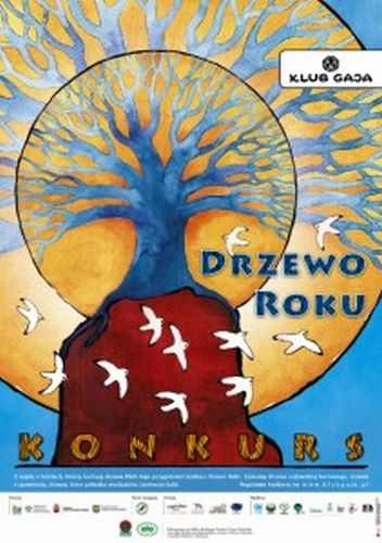 39_plakat_drzewo_roku_2011-211x300