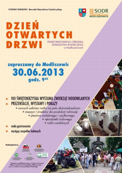 plakat_DOD_2013