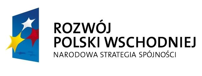 Dofinansują budowę sieci szerokopasmowej