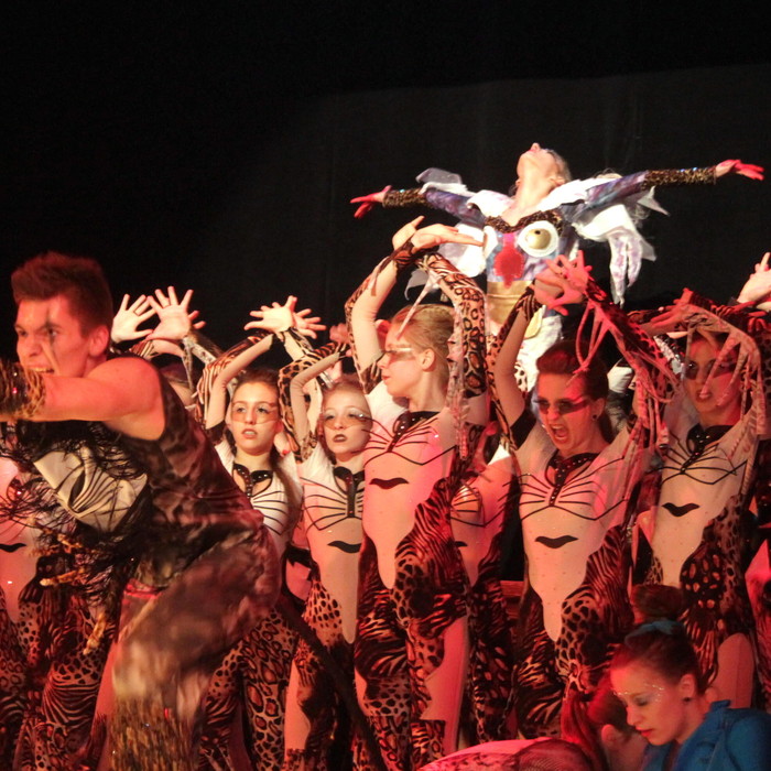 Rok 2014 w kulturze
