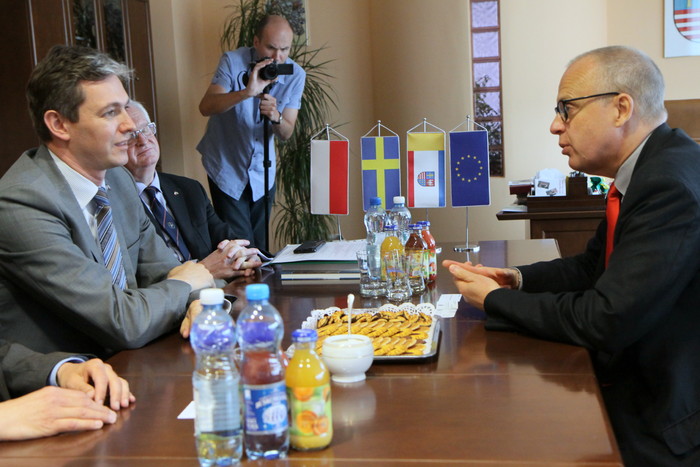 Ambasador Szwecji u marszałka