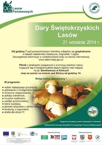 Dary Świętokrzyskich Lasów – piknik, grzybobranie