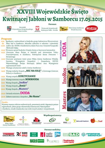 Kwitnąca jabłoń w Samborcu