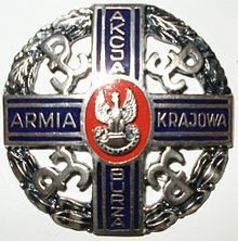 Uroczystości patriotyczne w Daleszycach