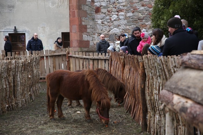 Żywa szopka ponownie w Kielcach