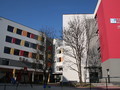 Apel lekarzy do plantatorów truskawek