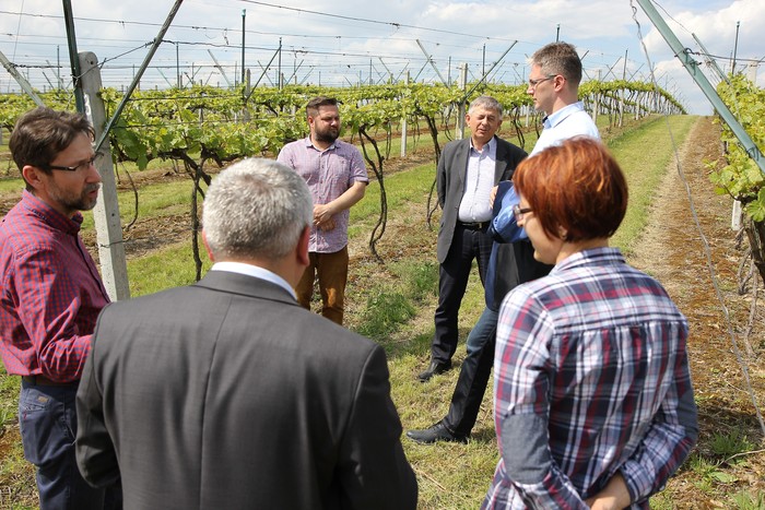 Środki unijne wspierają rozwój sandomierskich przedsiębiorców