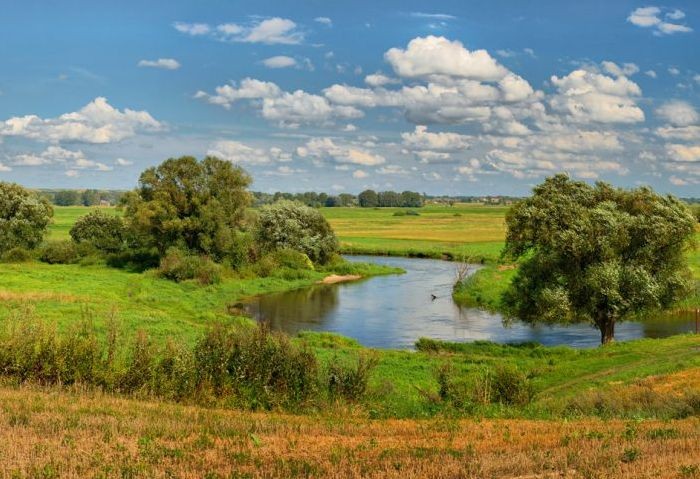 Działki w Umianowicach dla Parków Krajobrazowych