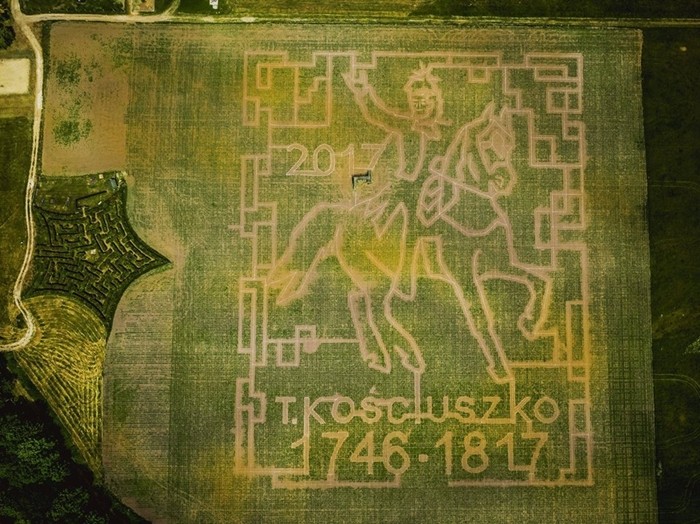 Labirynt z kukurydzy w Kurozwękach