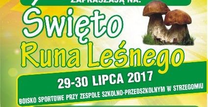Święto Runa Leśnego w Strzegomiu