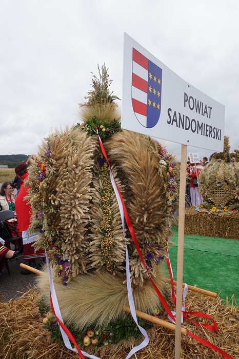 Wieniec z powiatu sandomierskiego najpiękniejszy w regionie