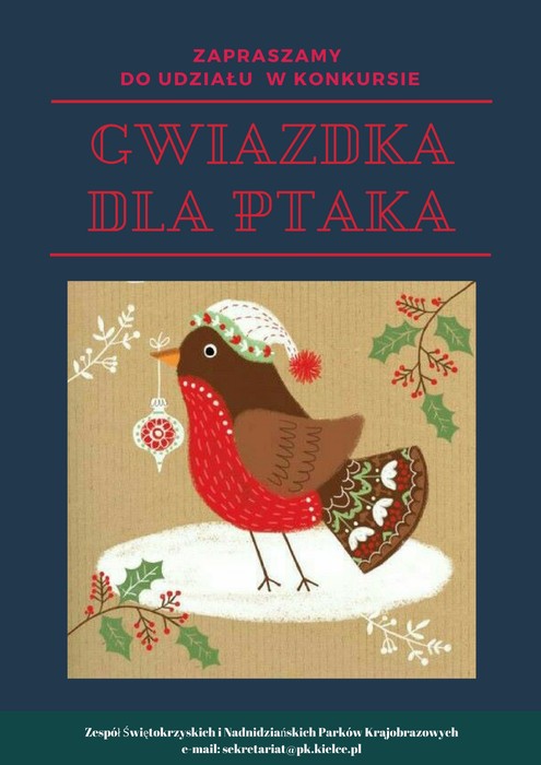 Gwiazdka dla ptaka – konkurs dla dzieci