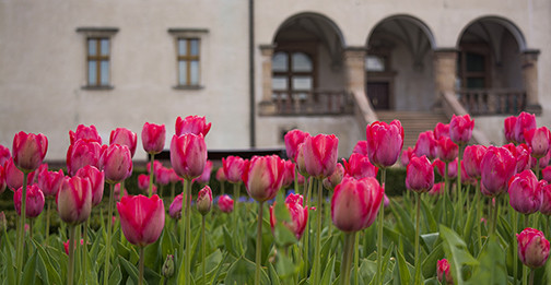 Muzeum Narodowe zaprasza