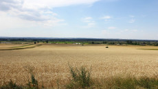 Img 10212(6)