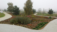 Ogród 1