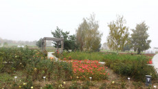Ogród 2