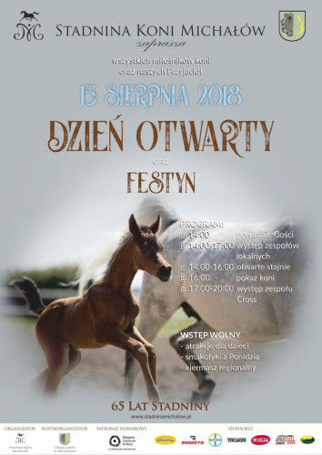 Michalow Plakat