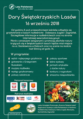 Dary Świętokrzyskich Lasów