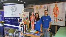 Img 7281