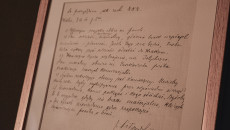  Dsc7849