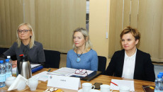 Posiedzenie Komisji Sejmiku (7)