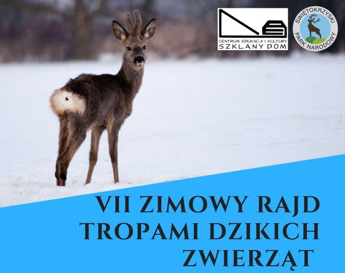 Rajd Tropem Dzikich Zwierząt