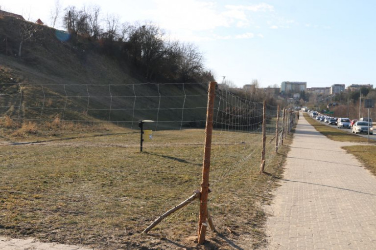 W Starachowicach Zagospodarują Tereny Zieleni Miejskiej