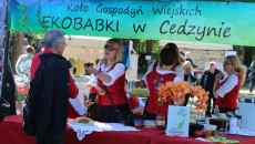 Iv Edycja Świętokrzyskiego Festiwalu Smaków (9)