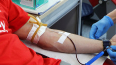 Lewa ręka honorowego krwiodawcy podczas akcji oddawania krwi. Dłonie pielęgniarki w rękawiczkach nadzorującej proces oddawania krwi