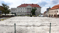 13.08.2019 Konferencja Piłka Plażowa (14)