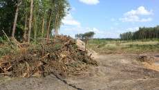 Wbicie Pierwszej łopaty Pod Obwodnicę Włoszczowy (14)