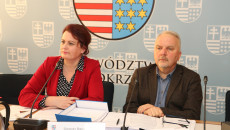 Obrady Komisji Strategii Rozwoju, Promocji I Współpracy Z Zagranicą (3)