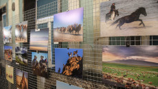 wystawa fotograficzna prezentująca Mongolię w Kielcach