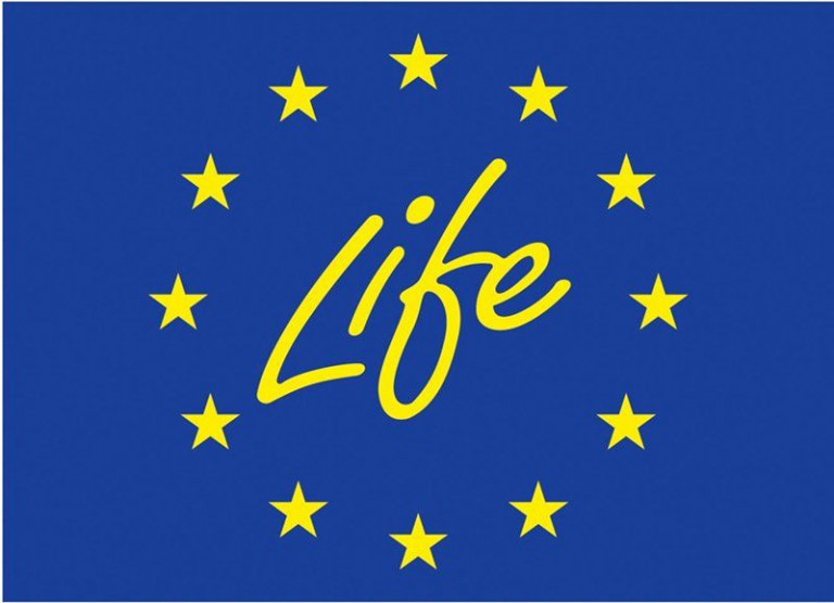 Logo Programu Life
