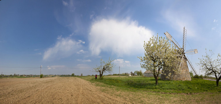 Panorama Kiwitnące Drzewa