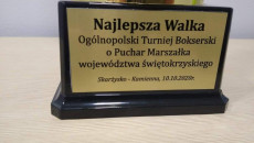 Ogólnopolski Turniej O Puchar Marszałka WŚ Puchar Za Najlepszą Walkę