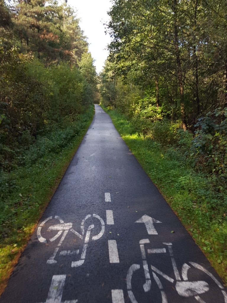 Droga Rowerowa Przez Las Na Trasie ścieżki Rowerowej Przez Las Winiarski