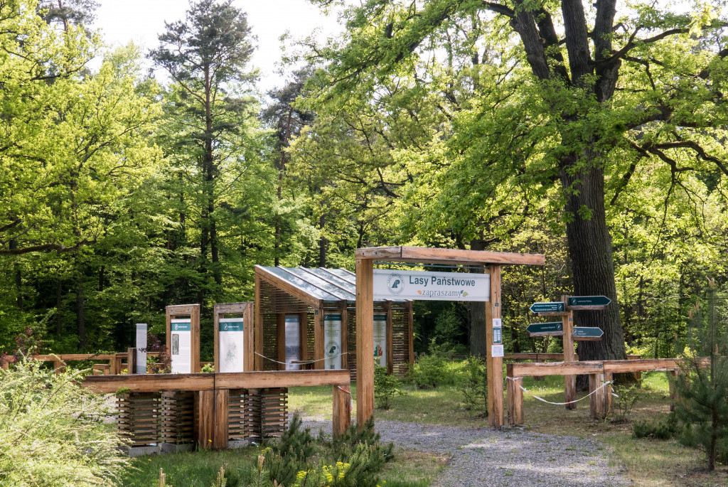 Leśne Miejsce Odpoczynku Na Trasie żółtego Szlaku Rowerowego W Okolicach Starachowic