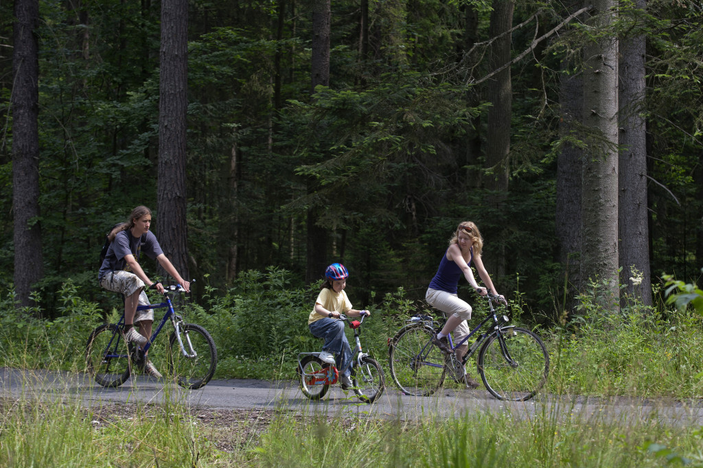 Rodzina Na Rowerach Podczas Przejażdżki Leśną Drogą W Okolicach Starachowic