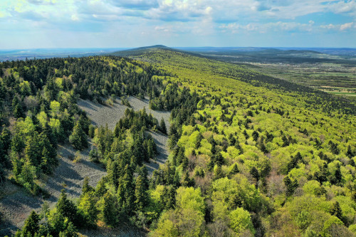 Góry Świętokrzyskie- Gołoborze 