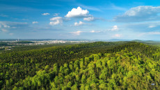 Pasmo Posłowickie Kielce