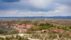 Rezerwat Chelosiowa Jama Jaworznia, Piekoszów (2)