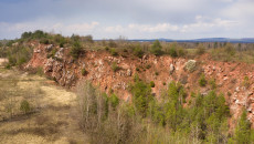 Rezerwat Chelosiowa Jama Jaworznia, Piekoszów