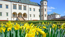 Kwiatowe Nasadzenia