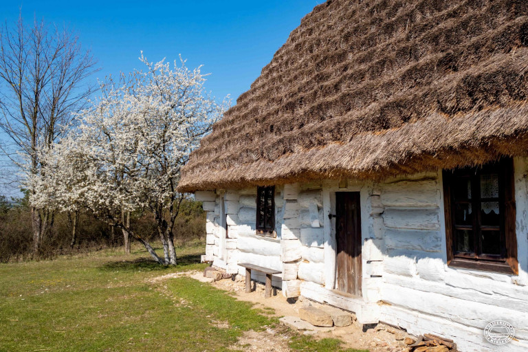 Chałupa W Skansenie Wiosną