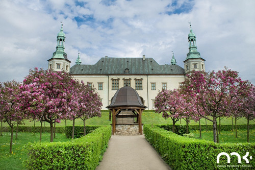 Zabytkowa studnia w Ogrodzie Włoskim Muzeum Narodowego W Kielcach, widok na ścieżkę, po bokach kwitnące drzewa śliwy, w tle budynek pałacu biskupiego