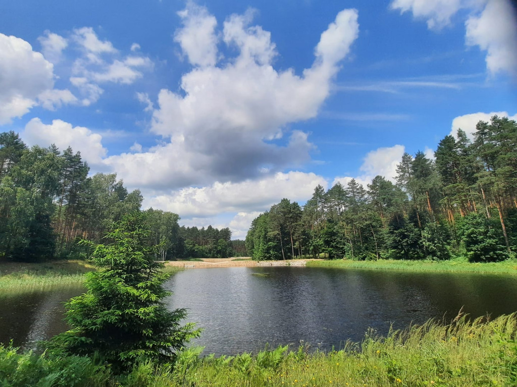 Nadleśnictwo Daleszyce Jezioro I Las Dookoła