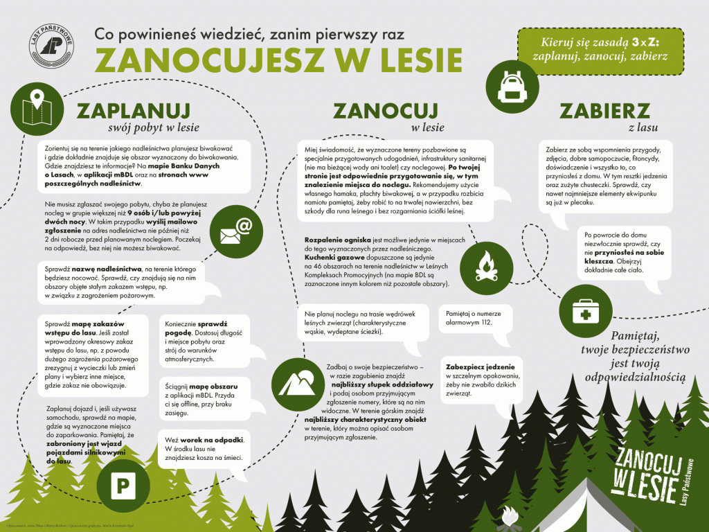 Zanocuj w lesie - infografika