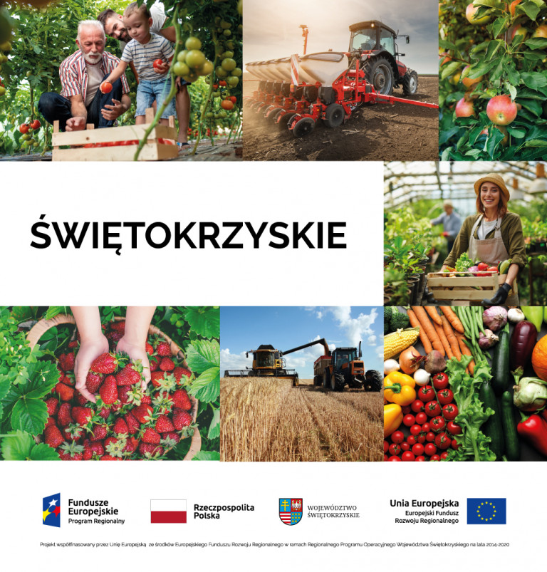 Plakat Promujący Konferencję Na Którym Są Warzywa I Owoce, Opatrzony Napisem Świętokrzyskie